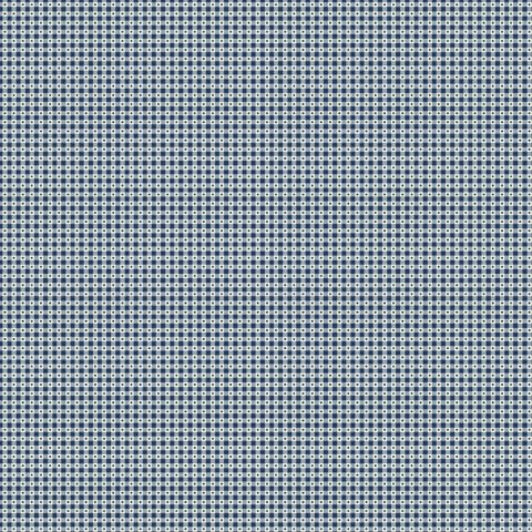 Kate - 011 Blue Check