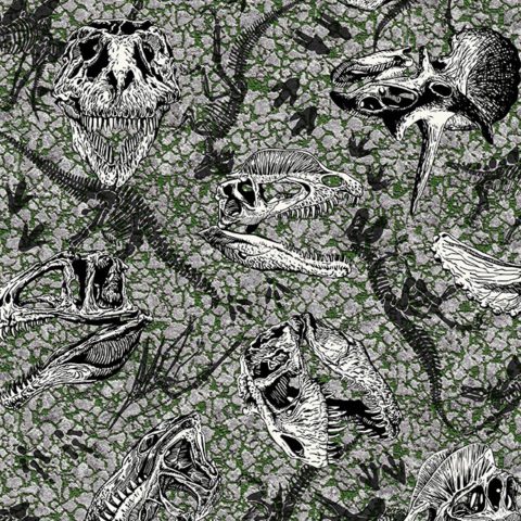 Jurassic - 5jur_1