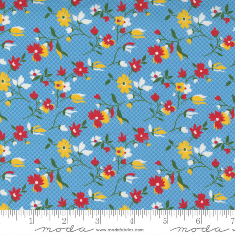 American Jane - Story Time 21793 17