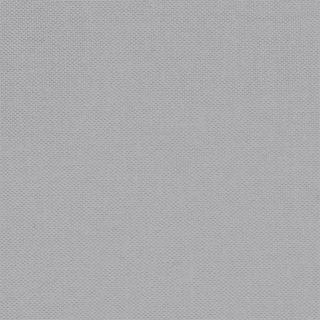 Devonstone Collection - DV017 - Stone Fossil