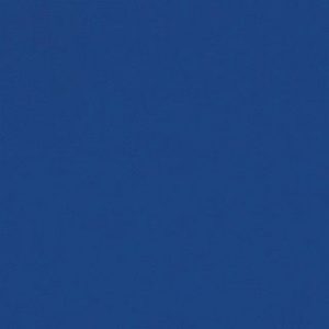 DV026 - Cassowary