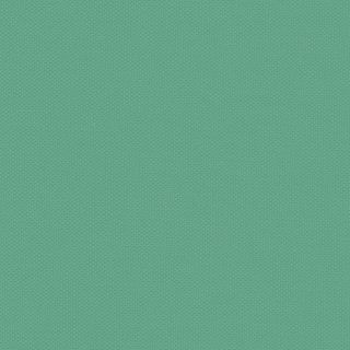 Devonstone Collection - DV118 - Spearmint
