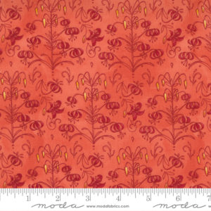 Carolina Lilies - 48703 13 Little Drawings Coral