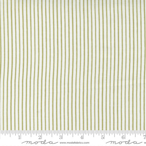 Renew 55563 13 - Pinstripe Grass