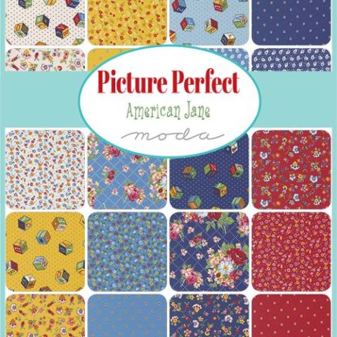 American Jane - Picture Perfect
