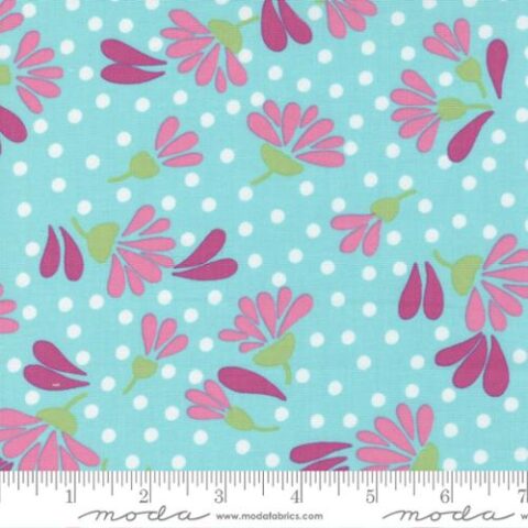 Picnic Pop - 22431 14
