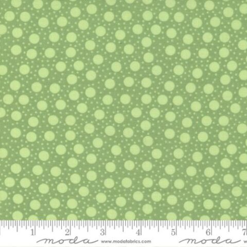 Picnic Pop - 22437 12