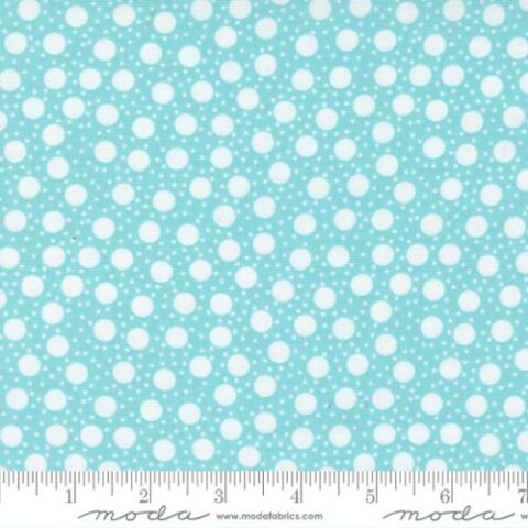 Picnic Pop - 22437 24