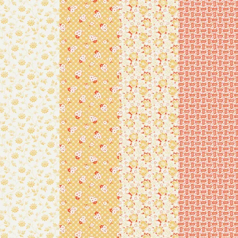 Amelie Grace - DV5954 Amelie Grace - DV5954