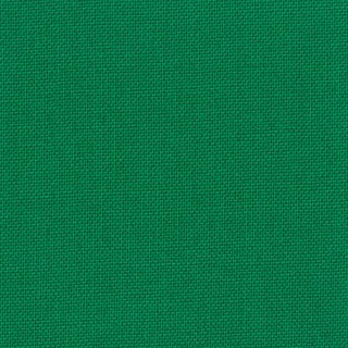 Devonstone Collection - DV029 - Solids - Cactus Green