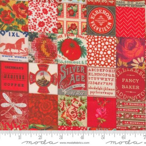 Curated in Color - Cathy Holden - 7461 12