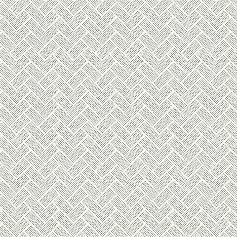 Forest Ferns - Y3998 2