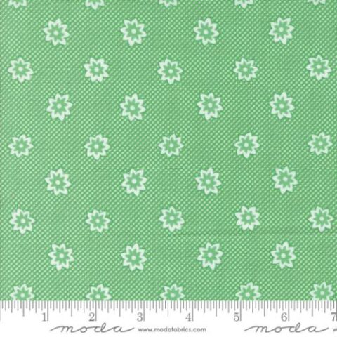 30s Playtime - 33752 17 Aloe