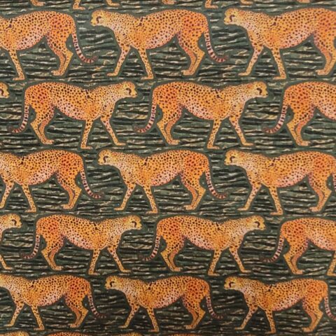 Liberty - 01574210A - Meet the Cheetahs