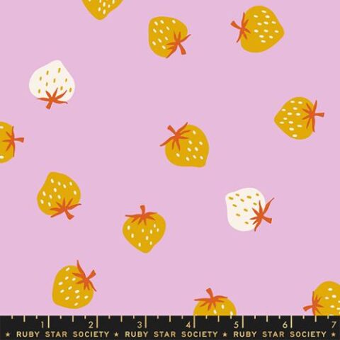 Ruby Star Society - Picture Book - RS3071 16 Macaron
