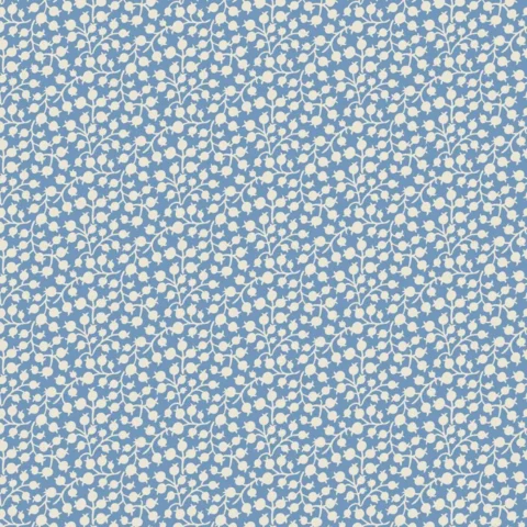 DV6749 Milkwood
