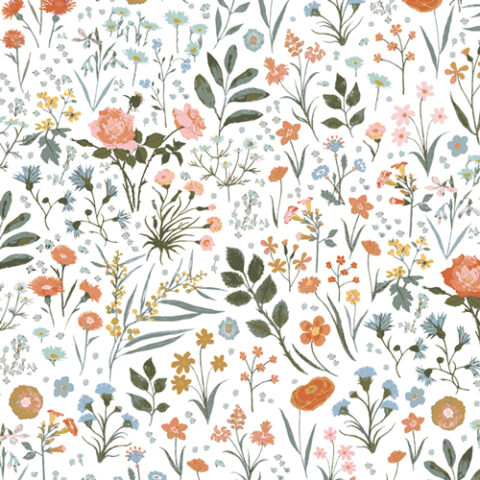 FLR33500-Primavera-allAlba