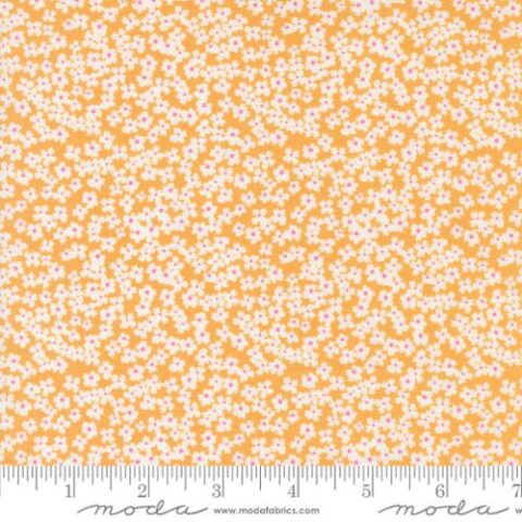 Shine 55672 15 Orangesicle