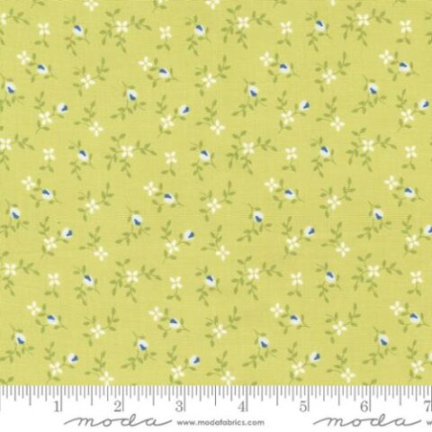 Cali & Co by Corey Yoder of Coriander Quilts for Moda Fabrics, Cali & Co - 29192 38 - Light Lime