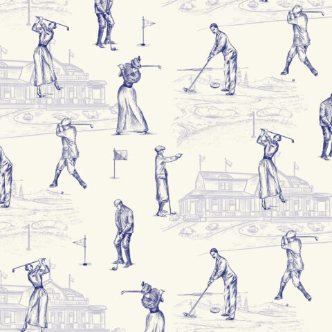 DV6624 Devonstone Toile De Jouy