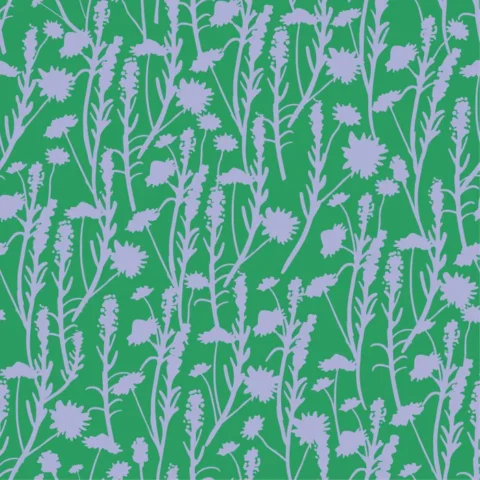 mmer Abroad Poplin Cornwall Oceanside