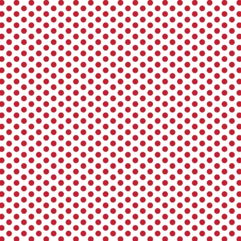 DV2842 Fundamentals Polked Red Delicious