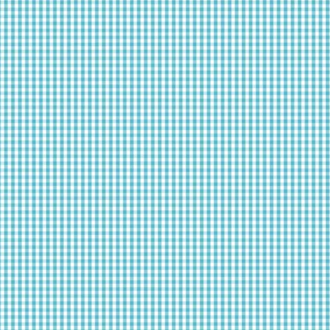 DV2953 Fundamentals 1:8 Check Barrier Blue