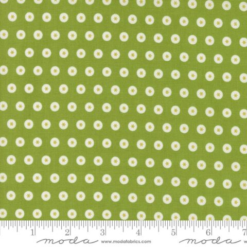 Raspberry Summer Fresh Grass 37692 18 Moda #1 Dots Dots