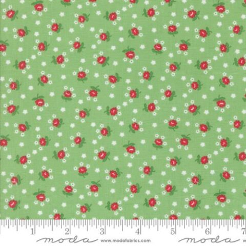 Camille Roskelley, Summertime by Camille Roskelley, Moda Fabrics, patchwork Geelong, Geelong quilting, 55328 17 Fairground Floral Green