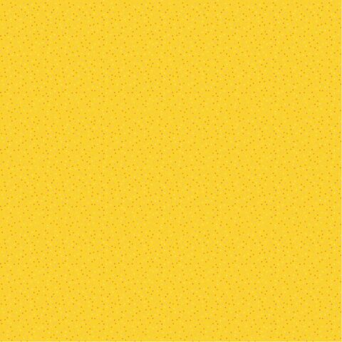 CC20197 Country Confetti Lemon Meringue