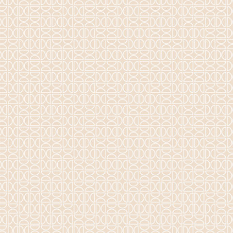 AGF, Art Gallery Fabrics, Modern Fabrics, Tangerine by AGF, TAN69912 Zesty Wedges Raw