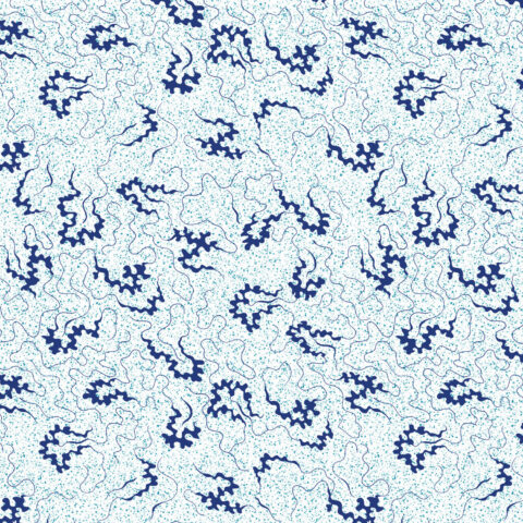 Devonstone Collections, Devonstone Fabric, Miscellany by Michelle Marvig, Michelle Marvig Fabric, Two Green Zebras, Toile Fabric, DV6847