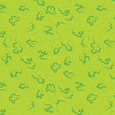 Devonstone Collections, Devonstone Fabric, Miscellany by Michelle Marvig, Michelle Marvig Fabric, Two Green Zebras, Toile Fabric, DV6849