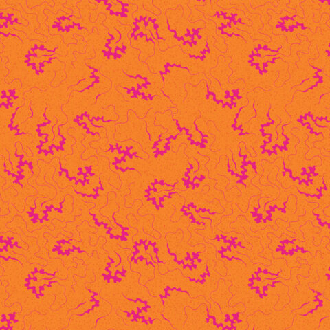 Devonstone Collections, Devonstone Fabric, Miscellany by Michelle Marvig, Michelle Marvig Fabric, Two Green Zebras, Toile Fabric, DV6850