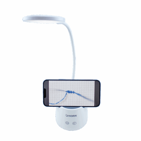 Horn Buddy LED Desk Craft Lamp with Storage2