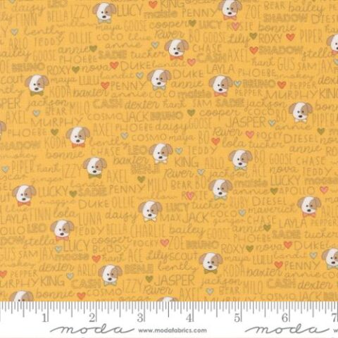 Sweetwater, Sweetwater Fabric, Sweetwater for Moda Fabrics. Sweetwater by Moda, Sweetwater Lucky, dog fabric, Moda Fabrics, 55702 14 - Buddies Text - Sun