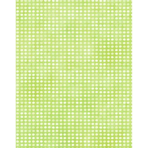 Jason Yenter - Dit Dots 8ah-23 Mint