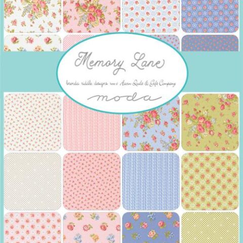 Brenda Riddle - Memory Lane