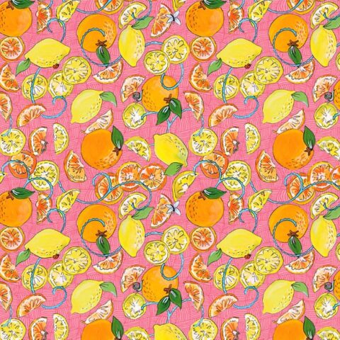 Helen Godden - Fruitopia