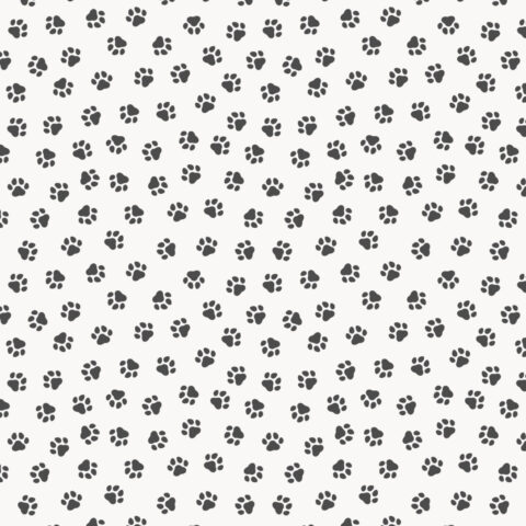 Lewis & Irene - The Purrfect Book Club - A962A Paws Black on White