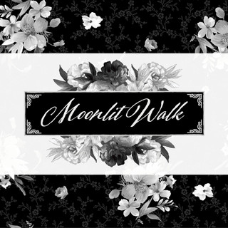 Moonlit Walk