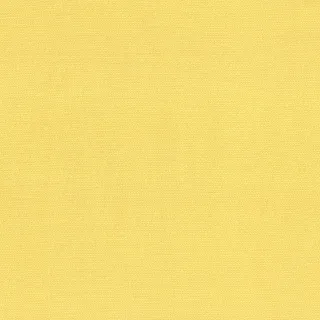Petra Prins, Devonstone Collection, Petra Prins Pin Dots, PP1503 Daffodil