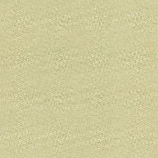 Petra Prins, Devonstone Collection, Petra Prins Pin Dots, PP1503 Green Tea