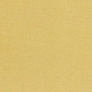 Petra Prins, Devonstone Collection, Petra Prins Pin Dots, PP1503 Honey
