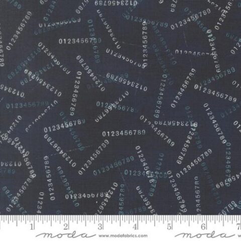 Janet Clare, Janet Clare fabric, Data by Janet Clare, Moda Fabrics, 24672 15 - Digits Hawking