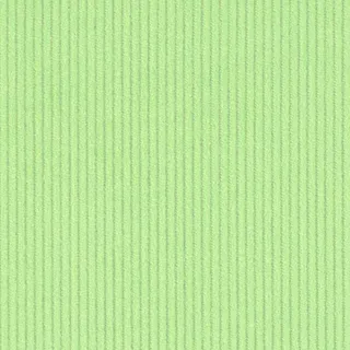 Devonstone Collection - DV2021 - Corduroy - Meadow