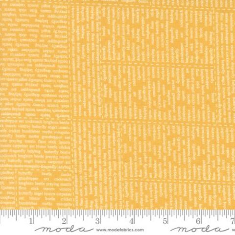 Bug Collector, Sweetwater Fabric, Sweetwater, Moda Fabrics, Bug Collector by Sweetwater, 55730 25 - The News - Sunshine