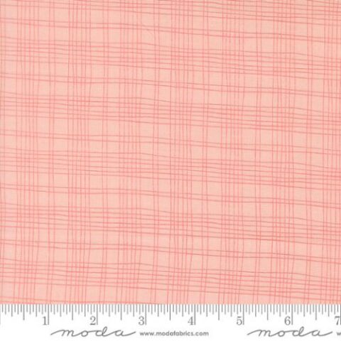Bug Collector, Sweetwater Fabric, Sweetwater, Moda Fabrics, Bug Collector by Sweetwater, 55737 14 - Plaid Checks - Blush