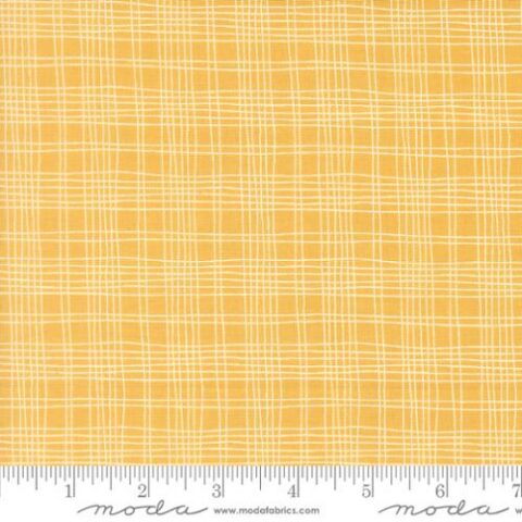 Bug Collector, Sweetwater Fabric, Sweetwater, Moda Fabrics, Bug Collector by Sweetwater, 55737 15 - Plaid Checks - Sunshine