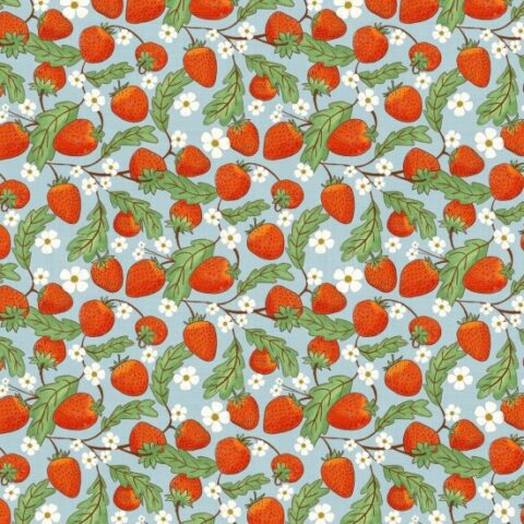 Whimsical Fields, Nutex Wholesalers, Nutex fabric, Mice Fabric, Geese Fabric, Patchwork Fabric, Whimsical Fields - 82130 Colour 6 - Strawberries